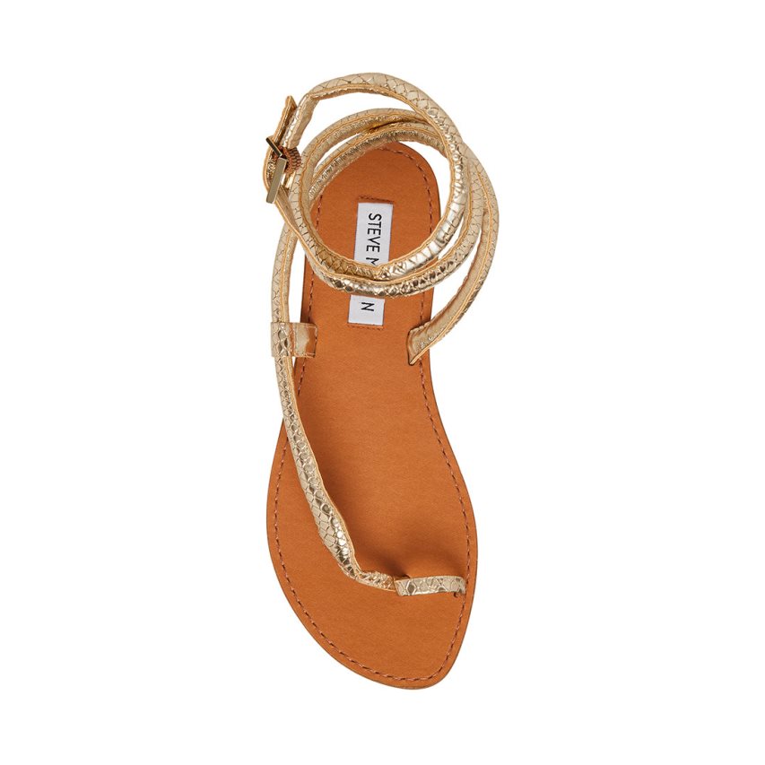 Sandalias Planas Steve Madden Scales Snake Mujer Doradas | ES WTE4S6